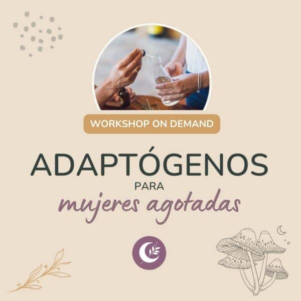 Adaptógenos para mujeres agotadas